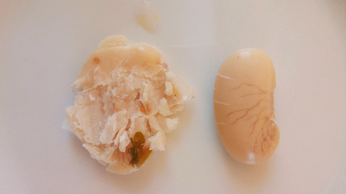 Two gigantes beans, one of them smashed.