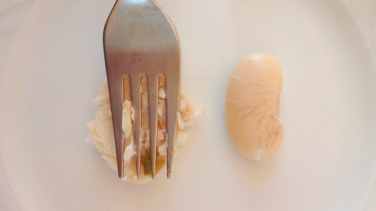 A fork is smashing a giant bean.